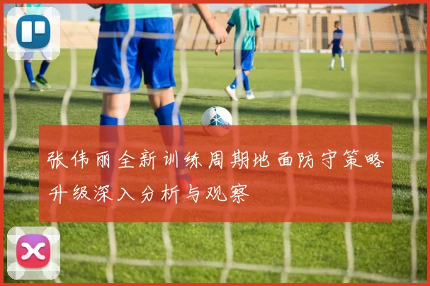 张伟丽全新训练周期地面防守策略升级深入分析与观察